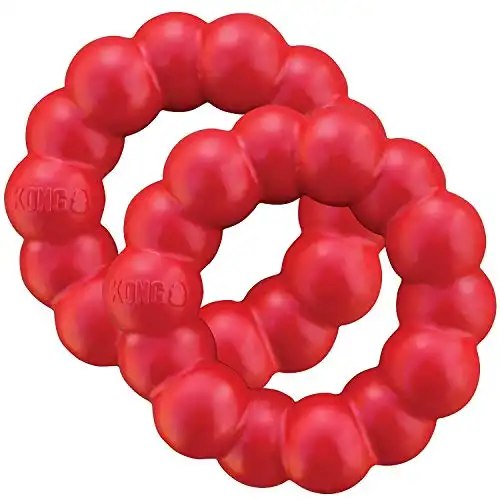 KONG Ring Medium/Large Dog Toy (2-Pack)