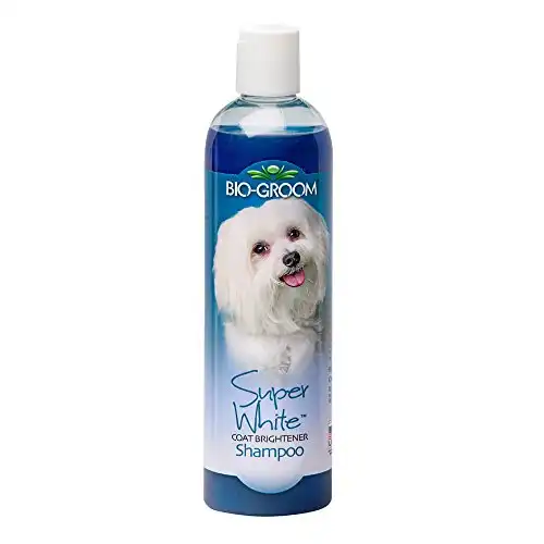 BioGroom Super White Coat Brightener Shampoo, 12 oz