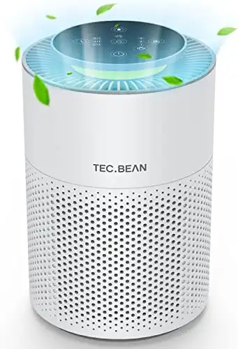 Air Purifiers for Bedroom with Adjustable Night Light, TEC.BEAN H13 True HEPA Air Filter for Office Desk, Odor Eliminators for Home, Sleep Mode 20dB Air Cleaner for Dust, Pet Dander, Allergies, Pollen