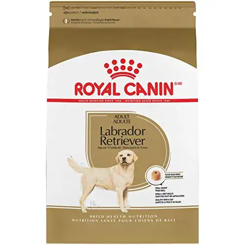 Royal Canin Labrador Retriever Adult Dry Dog Food, 30 lb bag