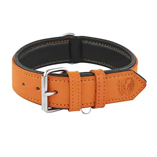 Riparo Genuine Leather Padded Dog Heavy Duty K-9 Adjustable Collar (M, Orange)