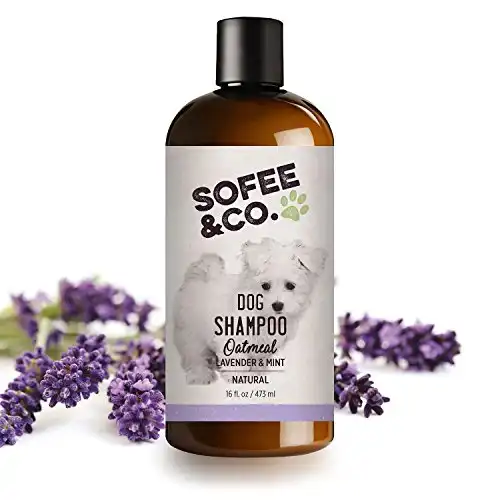 Sofee & Co. Natural Oatmeal Dog Puppy Shampoo - Clean Moisturize Soothe Soften Norma, Dry Itchy Allergy Sensitive Skin. Deodorize and Detangle 16 oz (Lavender & Mint)