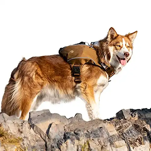 Bum's Pack Dog Backpack, Dog Hiking Backpack, Camping and Travel Saddlebag for Dog, Hiking Pack for Medium & Large Dog (X-Large, Brown)