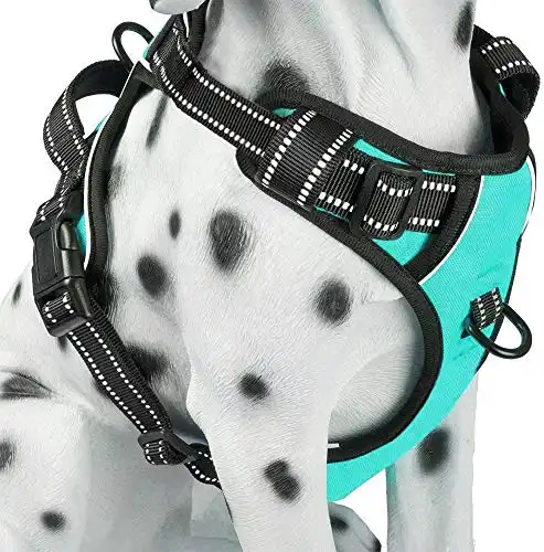 PoyPet No Pull Dog Harness, Reflective Comfortable Vest Harness with Front & Back 2 Leash Attachments and Easy Control Handle Adjustable Soft Padded Pet Vest for Small to Large Dogs (Mint Blue,M)