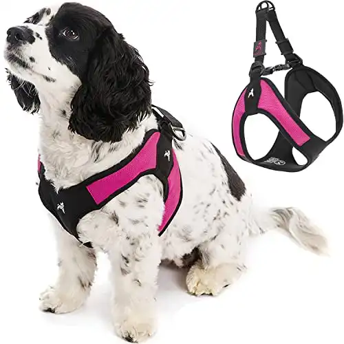 Gooby Escape Free Easy Fit Harness - Hot Pink, Medium - No Pull Step-in Patented Small Dog Harness with Quick Release Buckle - Perfect On The Go No Pull Harness for Small Dogs or Medium Dog Harness