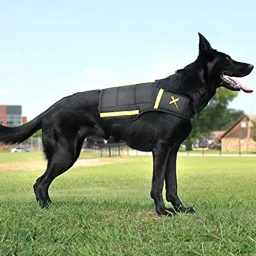 XDOG Weight & Fitness Vest for Dogs - A Weighted Dog Vest Used to Build Muscle, Improve Performance, Combat Obesity & Anxiety - Improve Your Dog's Overall Health & Exercise. (Medium, ...