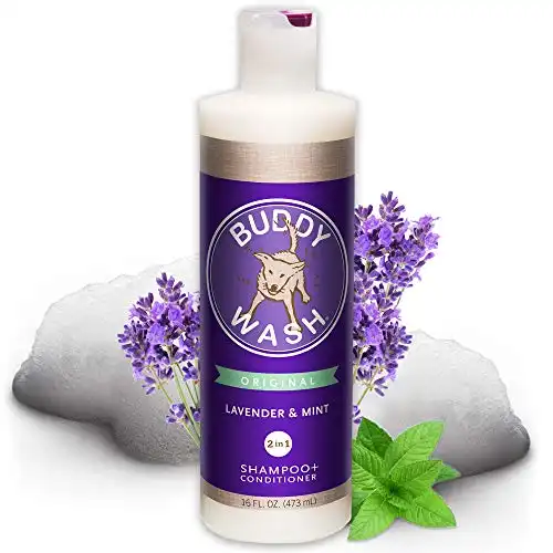 Buddy Wash Dog Shampoo & Conditioner for Dogs, Lavender & Mint, 16 ounce