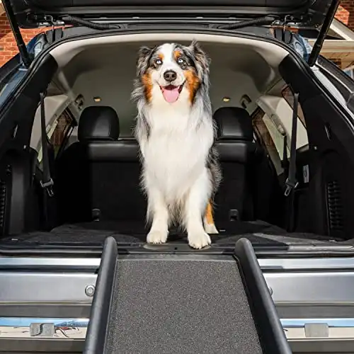 PetSafe Happy Ride Folding Dog Ramp for Cars, Trucks, & SUVs - 62 Inch Portable Pet Ramp for Large Dogs with Siderails, Non-Slip - Weighs Only 10 lb, Supports up to 150 lb, Easy Storage, Folds in ...