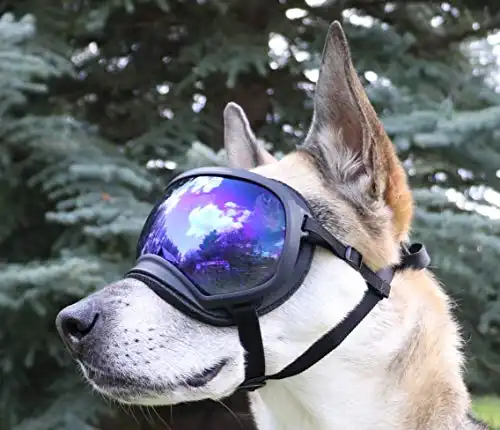 Rex Specs Dog Goggles - Eye Protection for The Active Dog