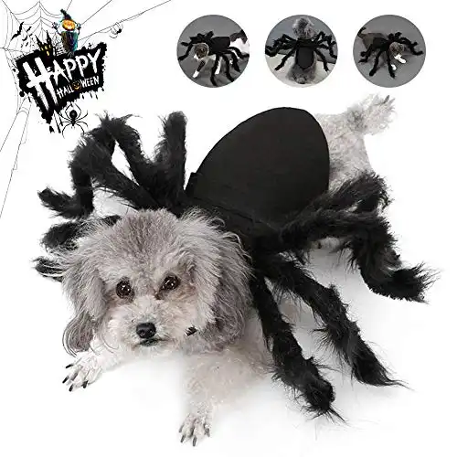 Dog Spider Costume Halloween Pet Costume Halloween Dog Cat Spider Cosplay Costume