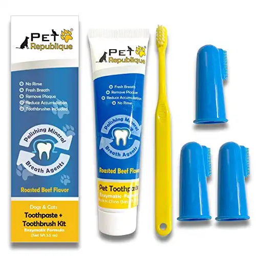 Pet Republique Dog Toothbrush Series Pack of 6 or 3 – Cat and Dog Finger Toothbrush, Handle Toothbrushes for Dogs, Cats, and Most Pets (Toothpaste Kit, Toothpaste & Finger Toothbrushes)