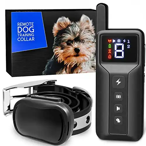 Small Size Dog Training Collar with Remote - Perfect for Small Dogs 5-15lbs - Waterproof & 1000 Feet Range