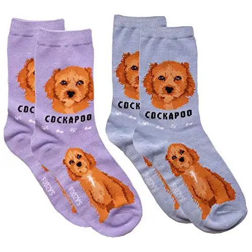Foozys Unisex Crew Socks | Canine Small Dog Breed Novelty Socks (2 Pair) (Cockapoo)