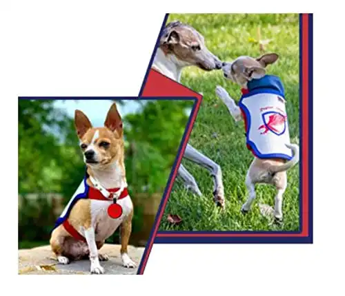 Raptor Shield Puncture Resistant Pet Vest for Small Dogs — Small, 4 - 7.5 lbs, Chest 11.5 to 14"