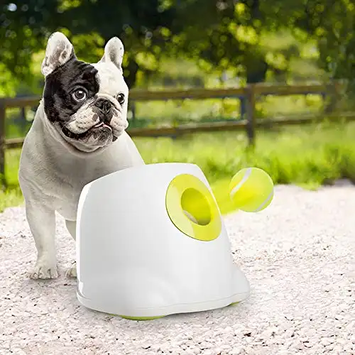 All for Paws Dog Automatic Ball Launcher for Small Dogs, Dog Tennis Ball Throwing Machine, 3 Balls Included