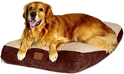 Interchangeable 2-in-1 Dog Bed. Super Extra Large with Two Removable Covers and Waterproof Liner. Made for Big Dogs up to 90 pounds and more. 40x28 and Stuffed 6 Inches High with Memory Foam Pieces.