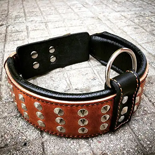 Bestia Genuine Leather Dog Collar with Studs and Soft Leather Cushion. Wide. Durable. Longlasting. Padded. Pitbull. Bulldog. Bully. APBT. Rottweiler. Cane Corso. Handmade in Europe!