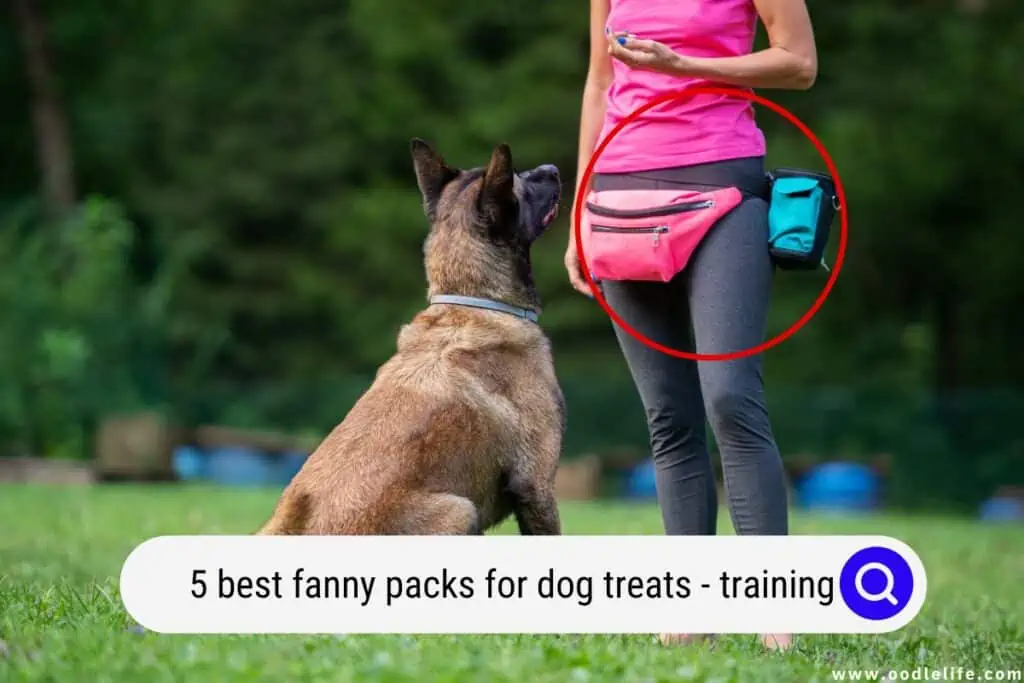 fanny packs for dog treats