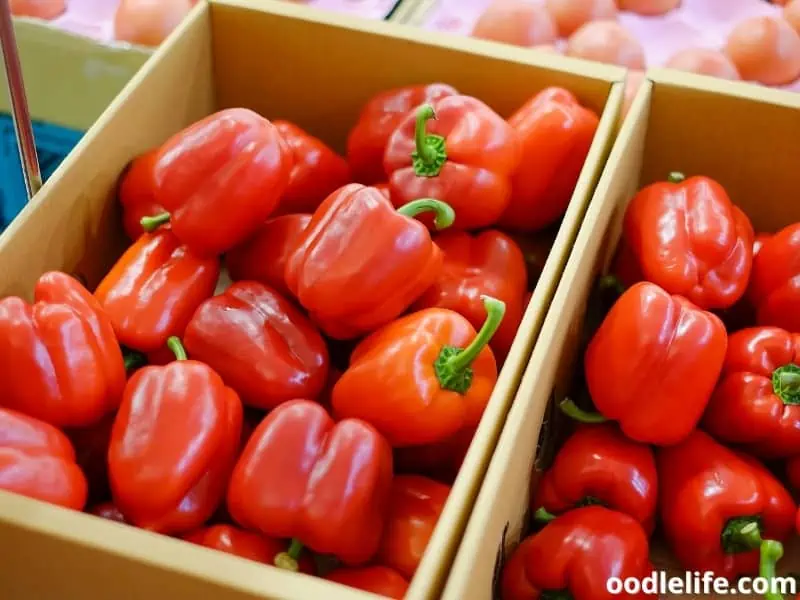red peppers in boxes