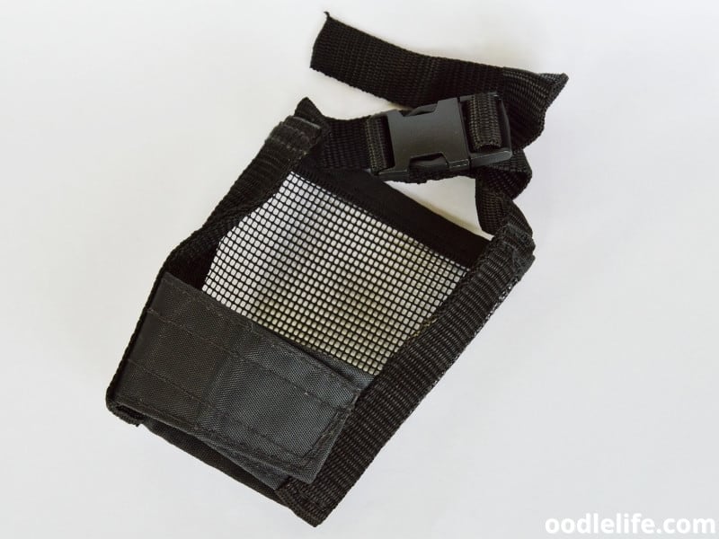 5 Best Muzzles For Yorkshire Terriers (Snout) Oodle Life