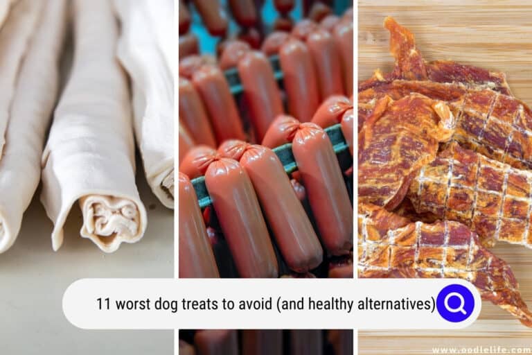 11 Worst Dog Treats To Avoid (And Healthy Alternatives)