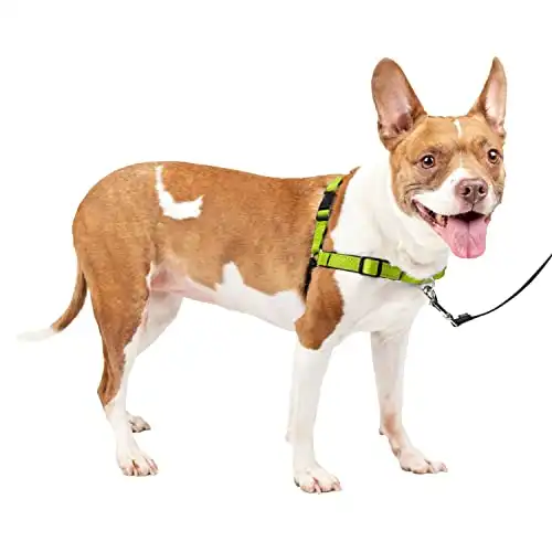 PetSafe Deluxe Easy Walk Dog Harness