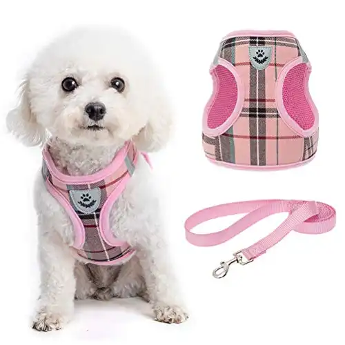 KOOLTAIL Soft Mesh Plaid Puppy Harness (SMALL Dogs!)