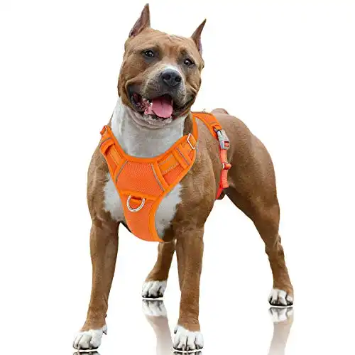 BARKBAY No Pull Dog Harness Large Step in Reflective Dog Harness with Front Clip
