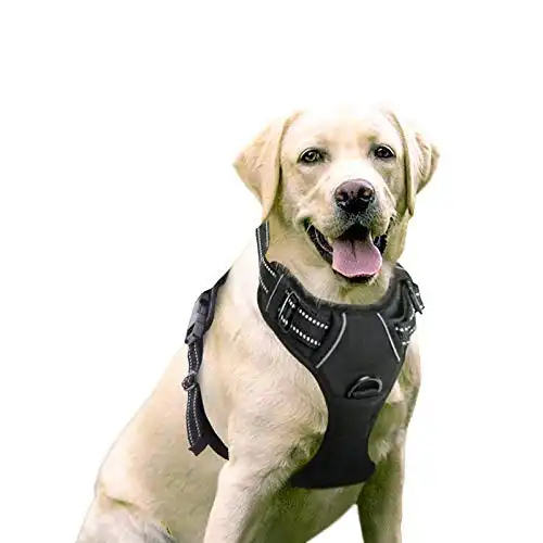 rabbitgoo Dog Harness, No-Pull Pet Harness with 2 Leash Clips