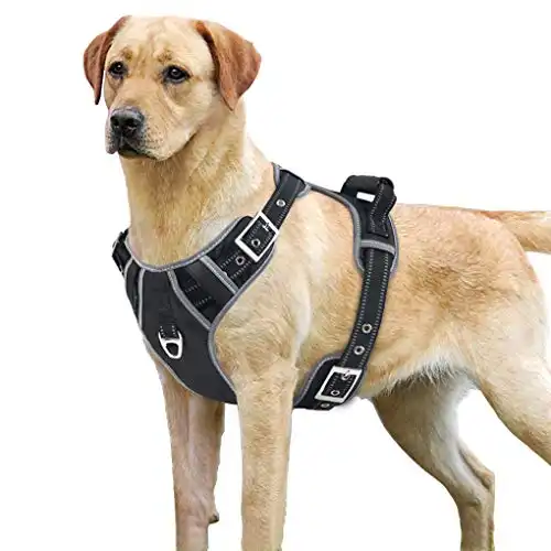 Idepet Dog Harness Vest with Handle No Pull Adjustable