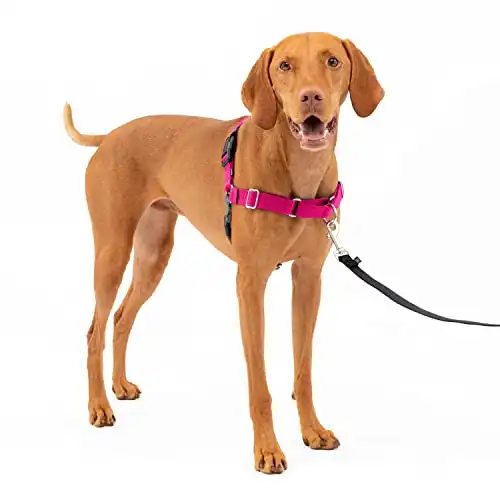 PetSafe Easy Walk Dog Harness, No Pull Dog Harness