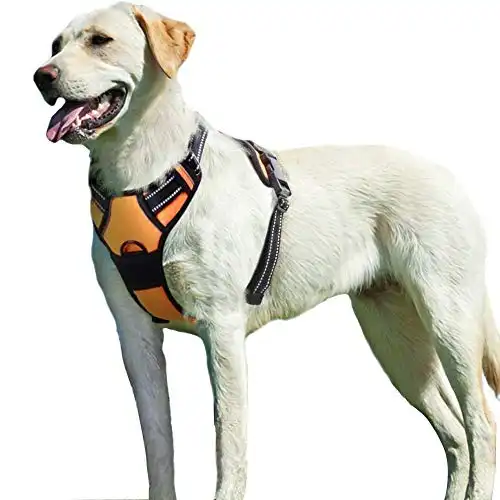 Eagloo Dog Harness No Pull, Walking Pet Harness