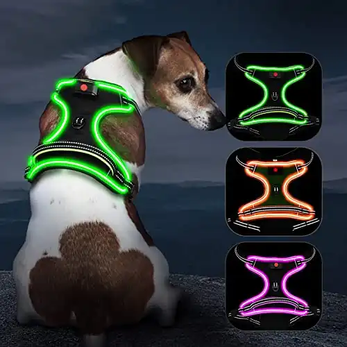 Light Up Dog Harness No Pull LED Dog Harness with Handle