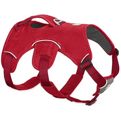 RUFFWEAR Multi-Use Support Dog Harness, Hiking and Trail Running, Service and Working, Everyday