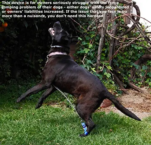 LoJump Jump Restraint Harness for Dogs