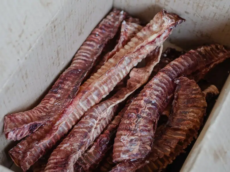 beef trachea dog treat