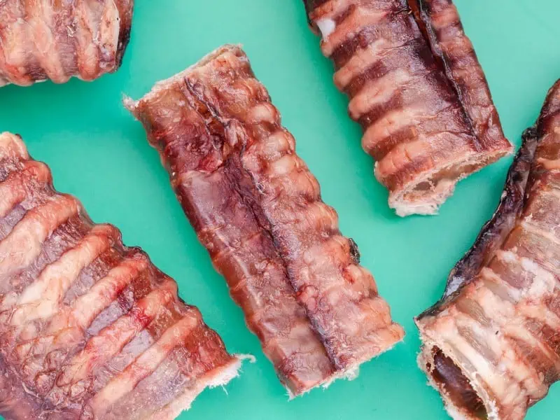 beef trachea on plain background
