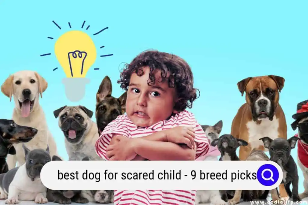 best dog for a scared child