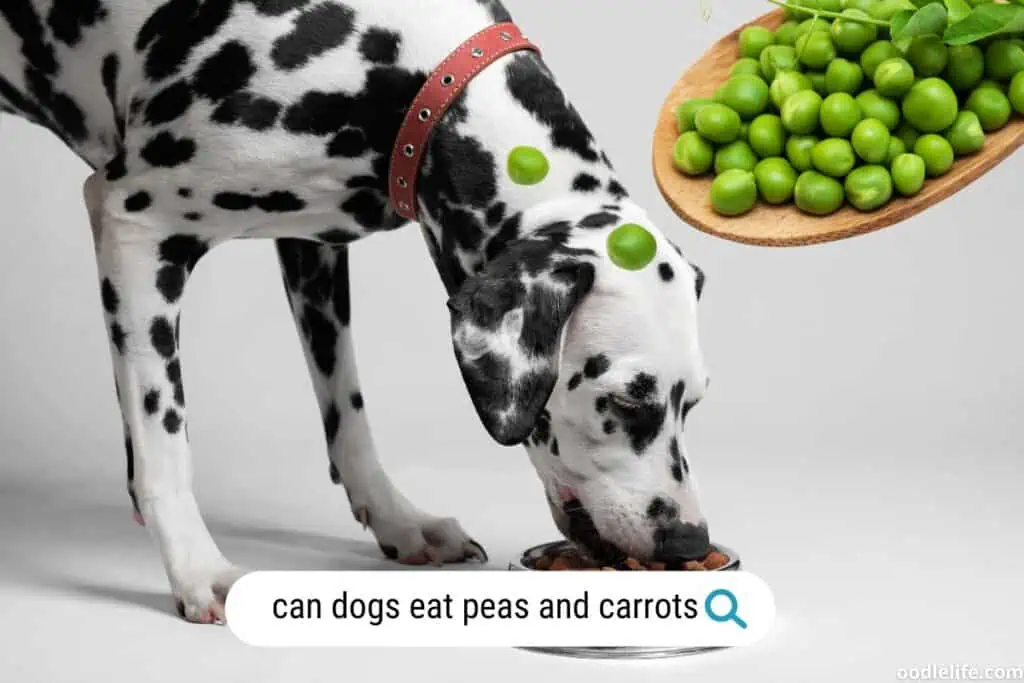 can dogs eat peas and carrots