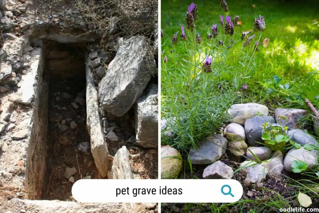 nature pet grave ideas