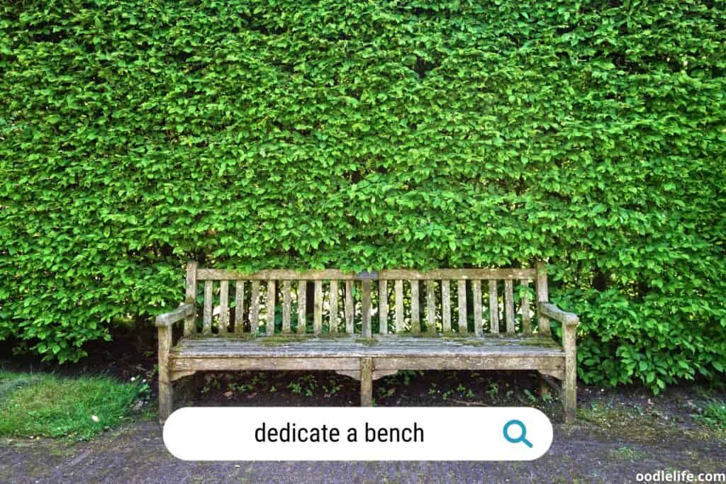 dedicate a bench to a dog