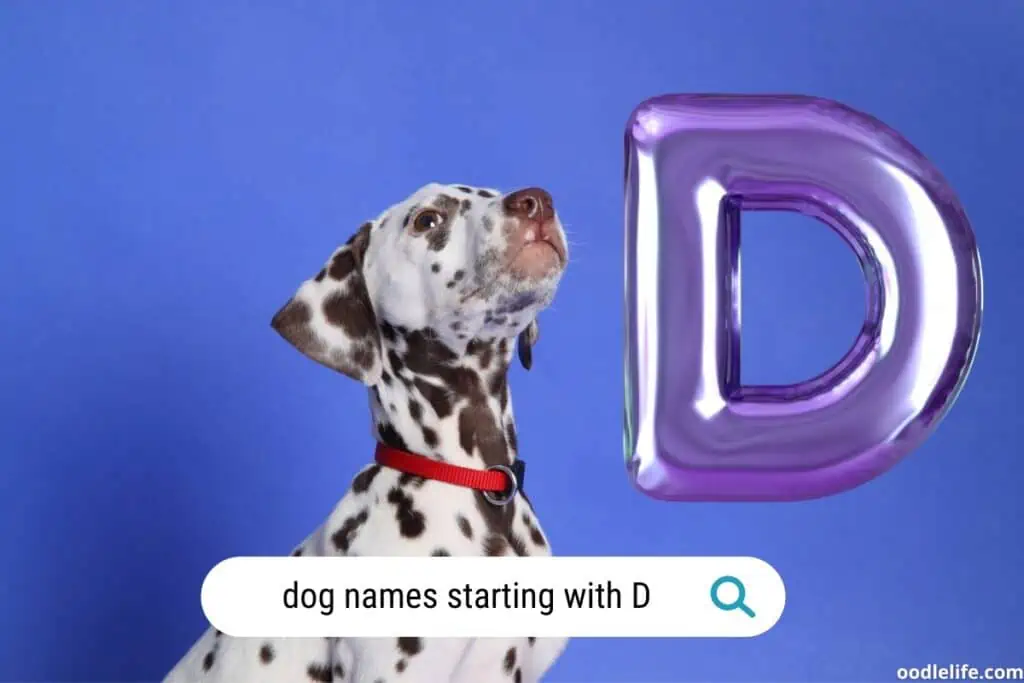 dog names that start with d
