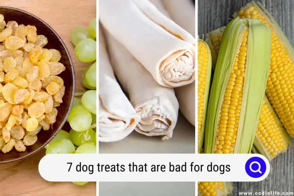 dog treats that are bad for dogs