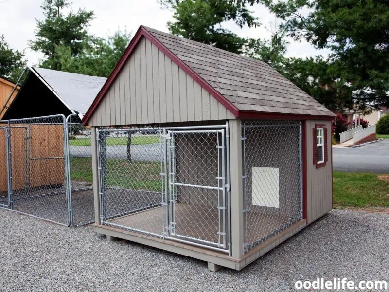 empty boarding kennel for all breeds