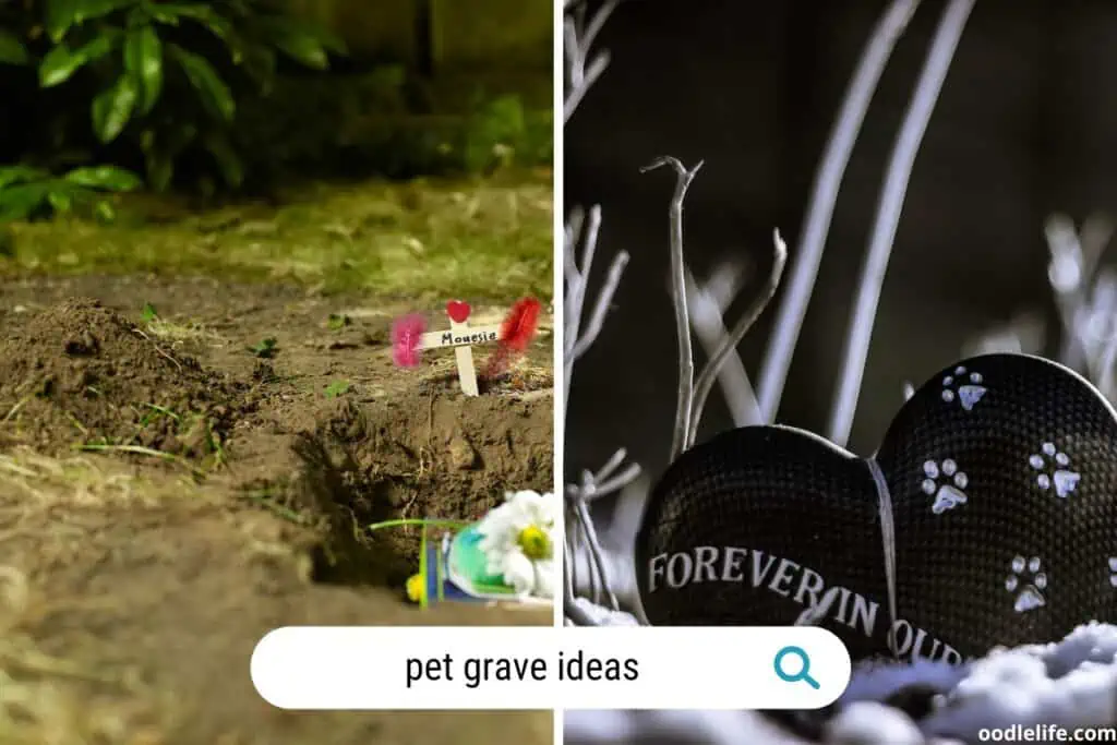 pet memorial ideas