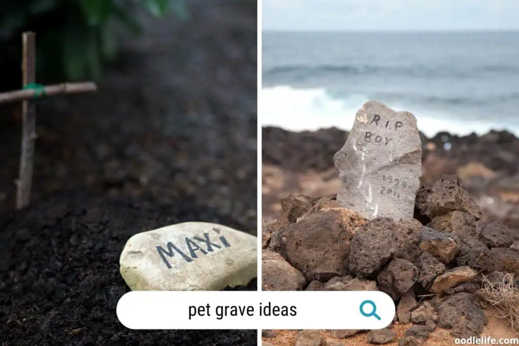pet grave ideas