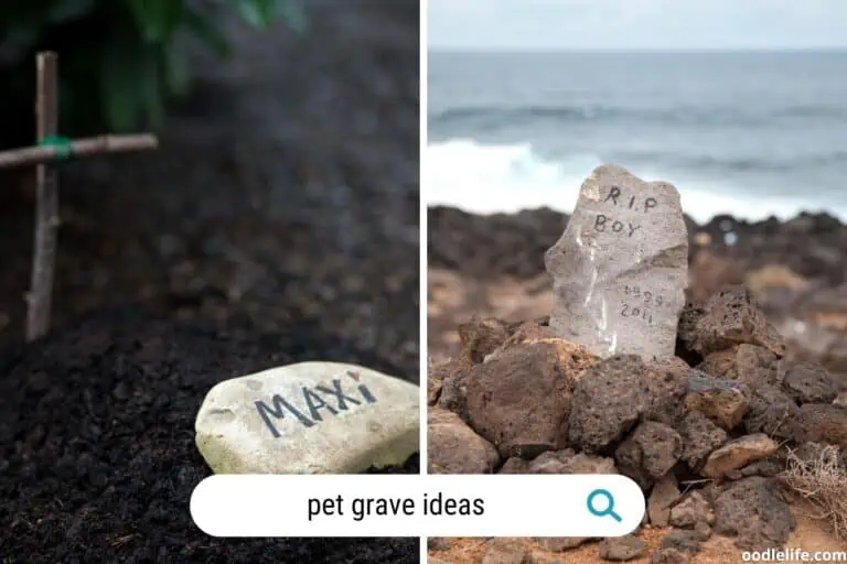 Pet Grave Ideas: Thoughtful Ways to Honor Your Beloved Pet
