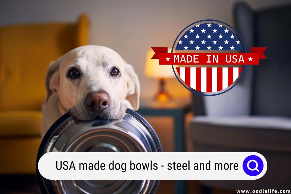 USA Made Dog Bowls (Steel And More) OodleLife®