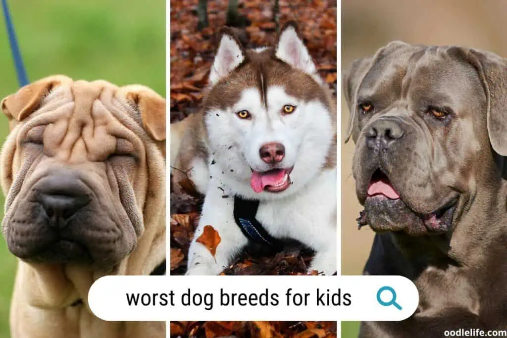 worst dogs for kids