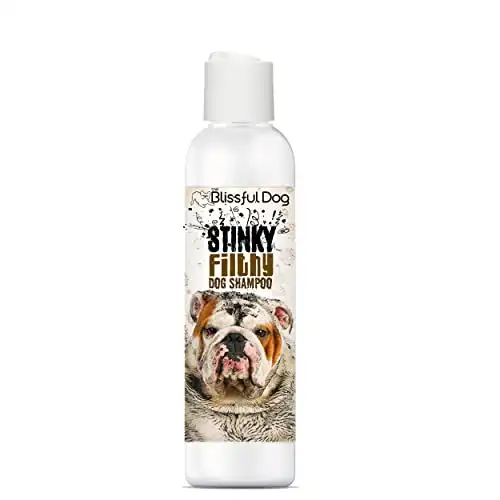 The Blissful Dog Stinky Filthy Dog Shampoo, 16-Ounce